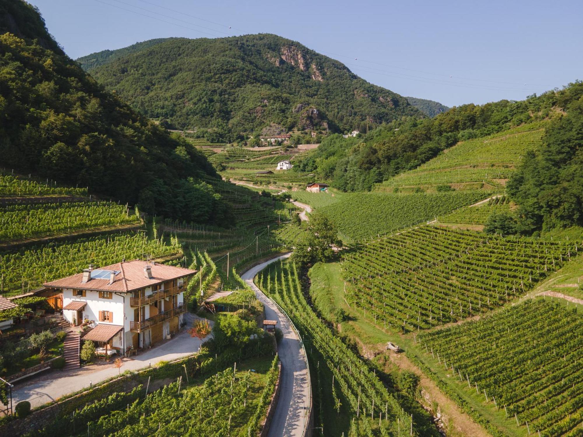 Agriturismo Valfraja Cembra Lisignago Exteriör bild