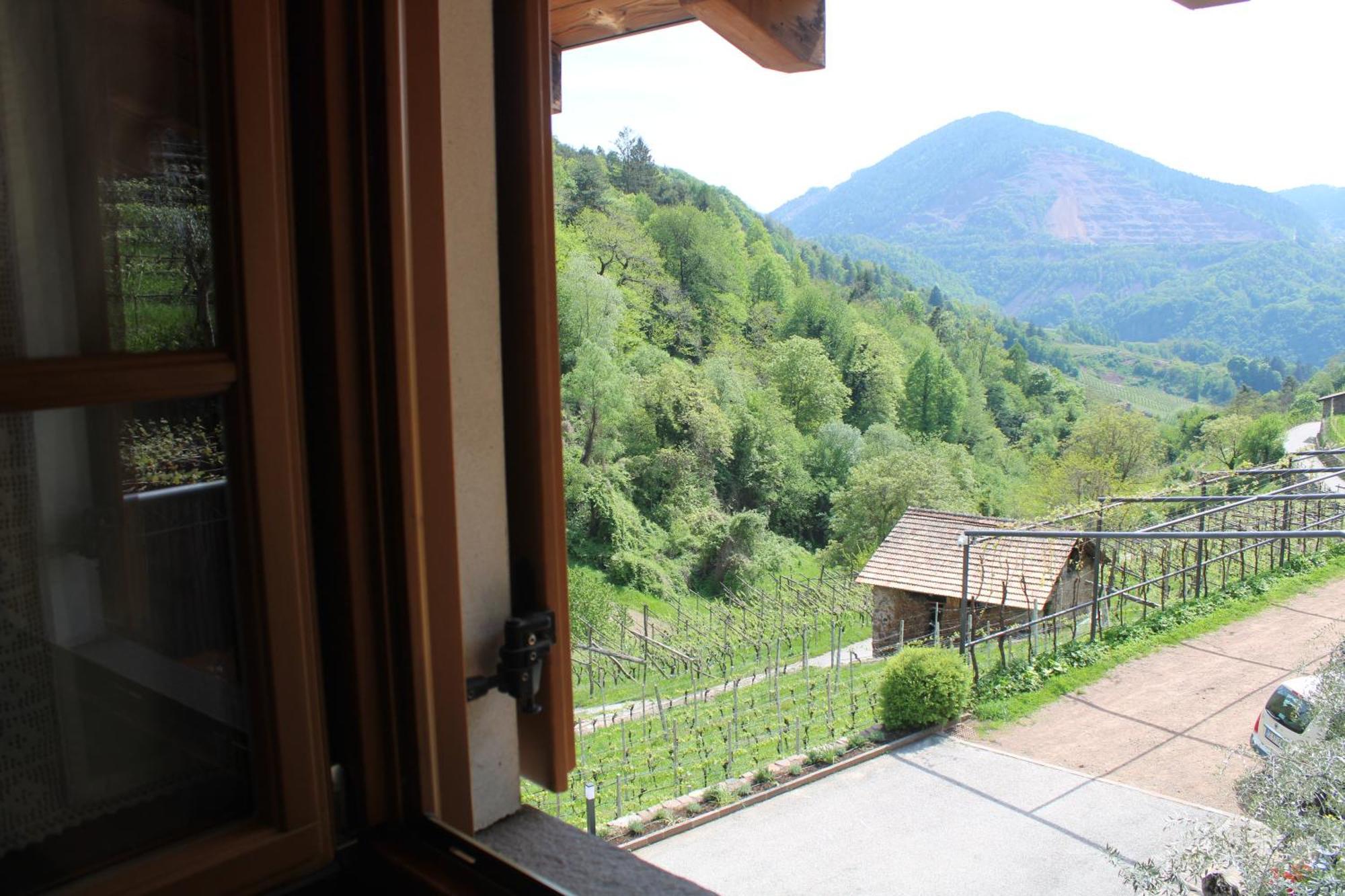 Agriturismo Valfraja Cembra Lisignago Exteriör bild