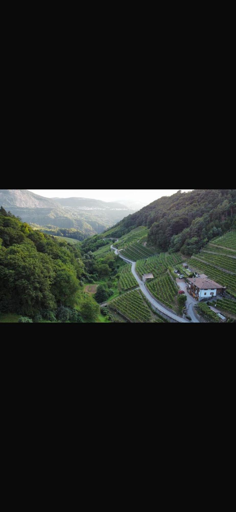 Agriturismo Valfraja Cembra Lisignago Exteriör bild