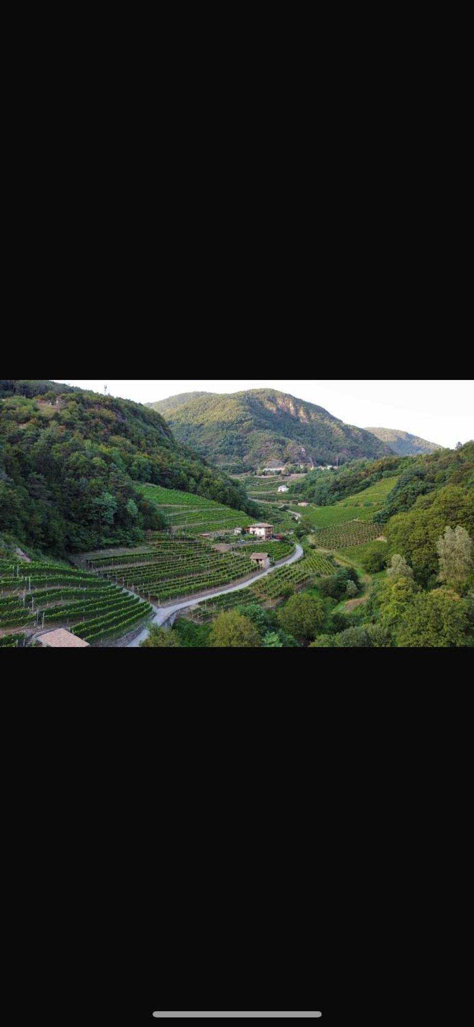Agriturismo Valfraja Cembra Lisignago Exteriör bild