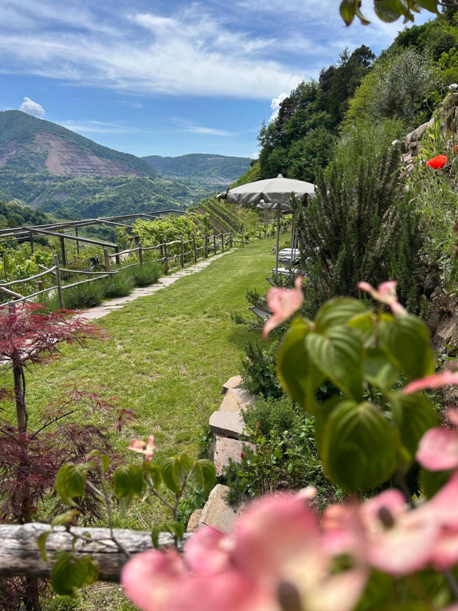 Agriturismo Valfraja Cembra Lisignago Exteriör bild